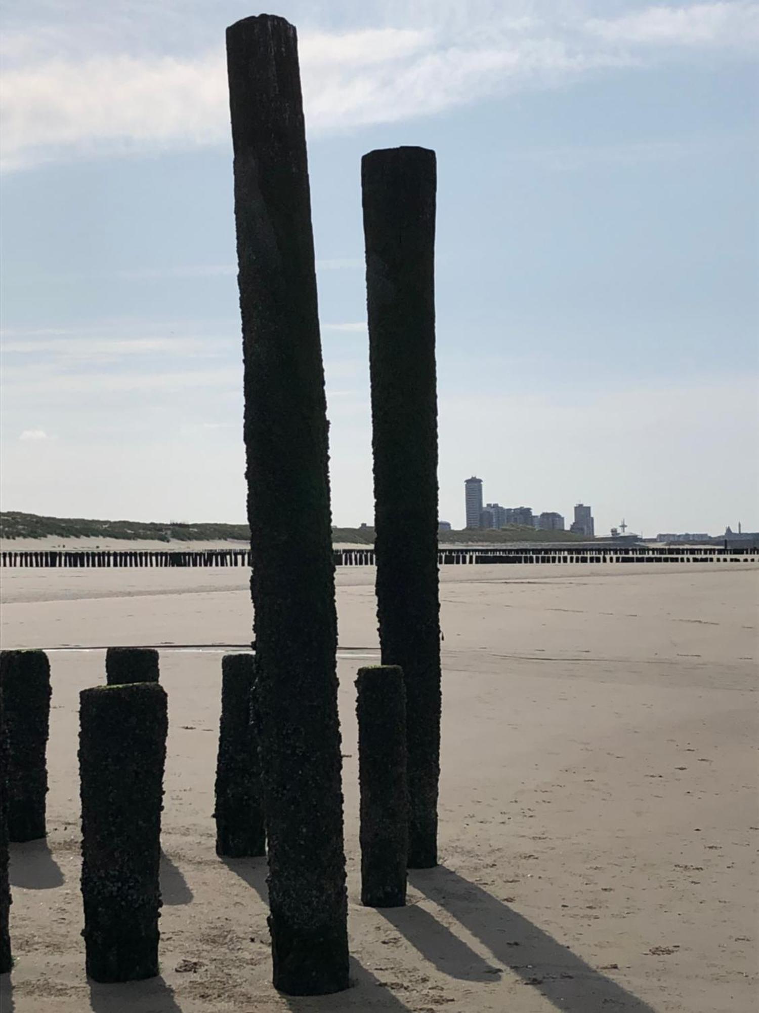 Appartement Zeeuws genoegen Vlissingen Buitenkant foto